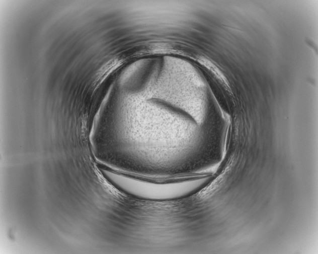 X0000098070801200804181131