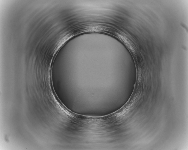 X0000098070802200804181131