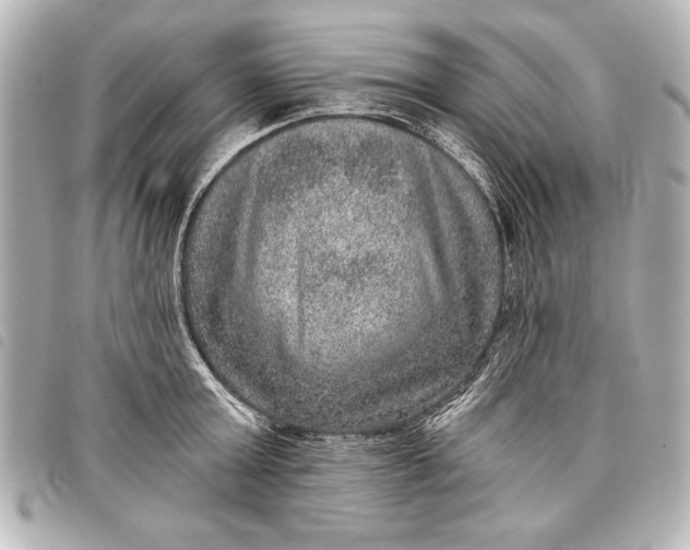 X0000098070803200804181131