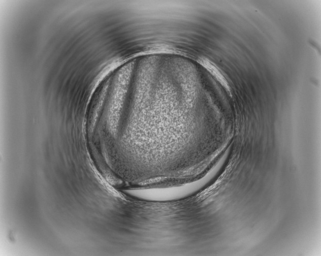 X0000098070805200804181131