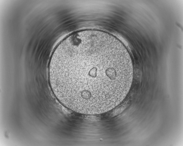 X0000098070807200804181131