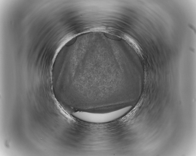 X0000098070808200804181131