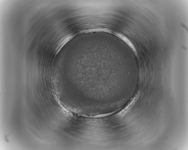 X0000098070809200804181131