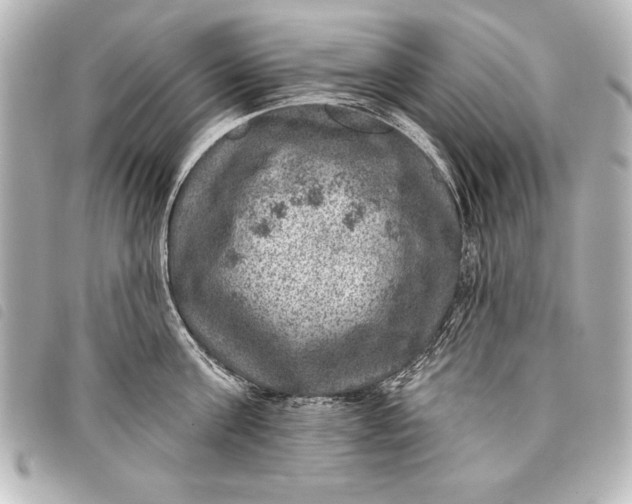 X0000098070811200804181131