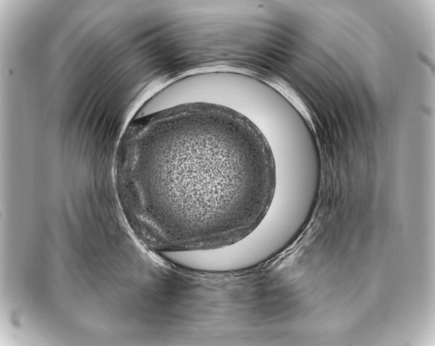 X0000098070813200804181131