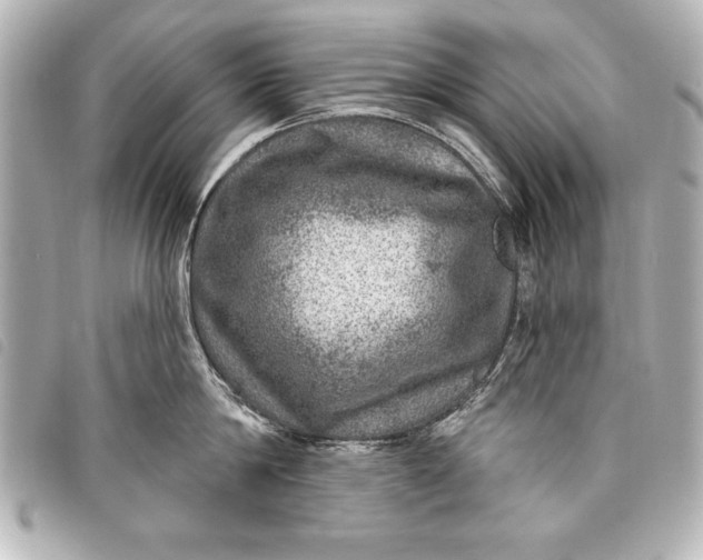 X0000098070814200804181131