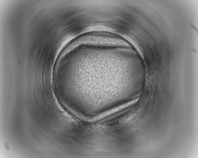 X0000098070815200804181131