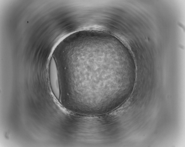 X0000098070816200804181131