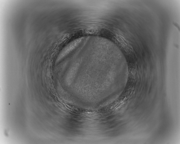 X0000098070817200804181130