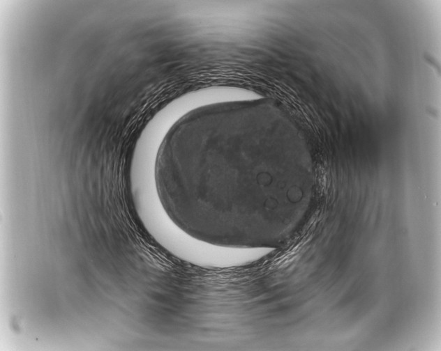 X0000098070818200804181130