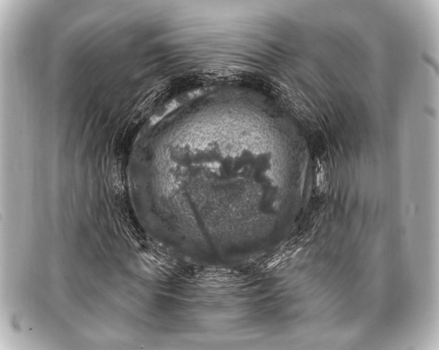 X0000098070819200804181130