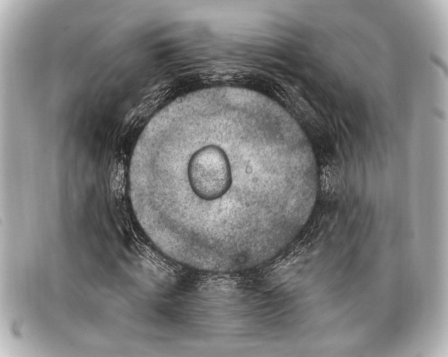 X0000098070820200804181130