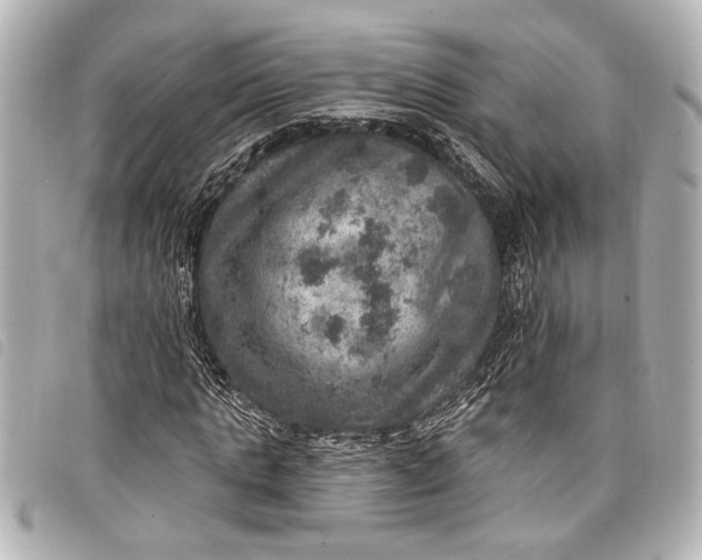 X0000098070821200804181130