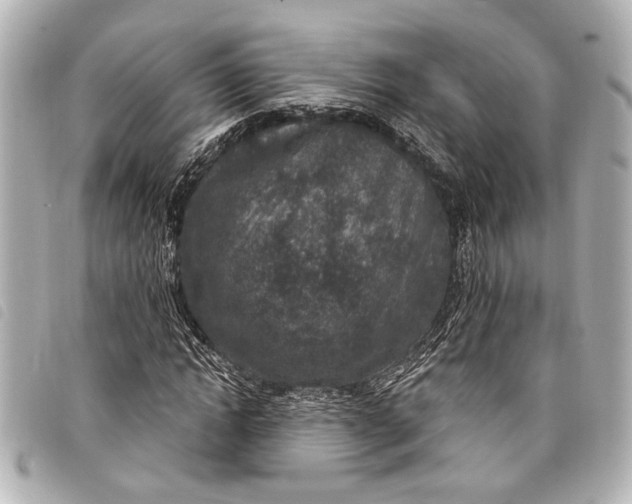 X0000098070822200804181130