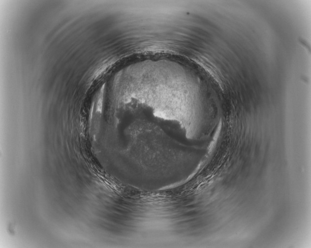 X0000098070823200804181130