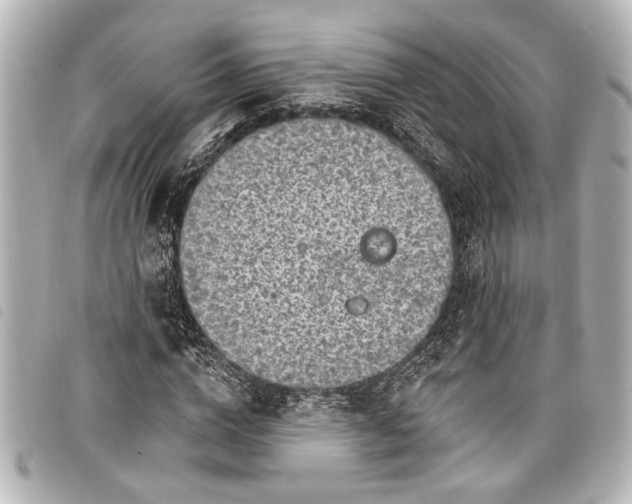 X0000098070824200804181130