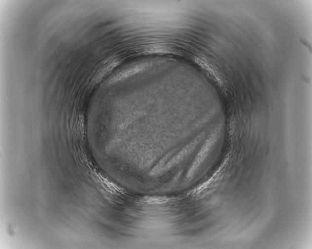 X0000098070825200804181130