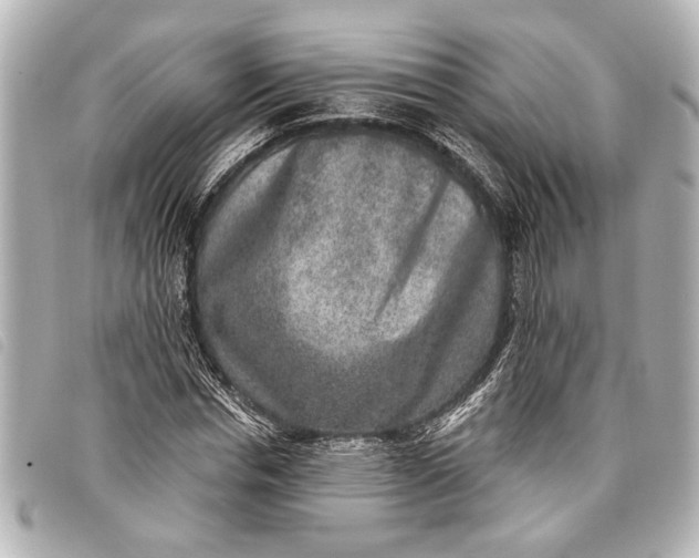 X0000098070826200804181131