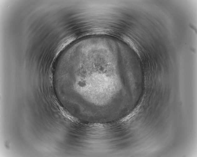 X0000098070827200804181131