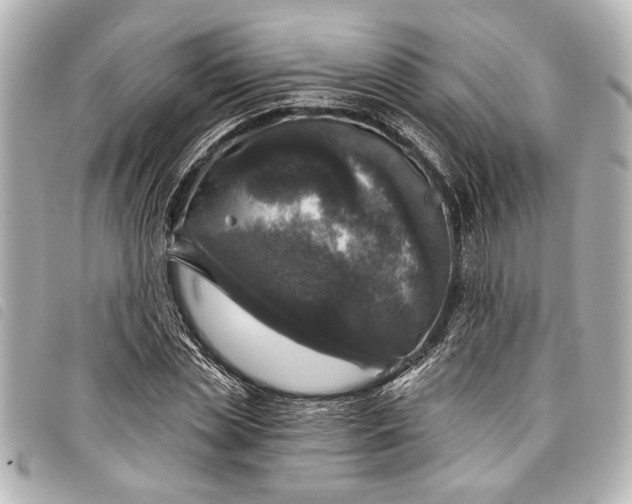 X0000098070829200804181131