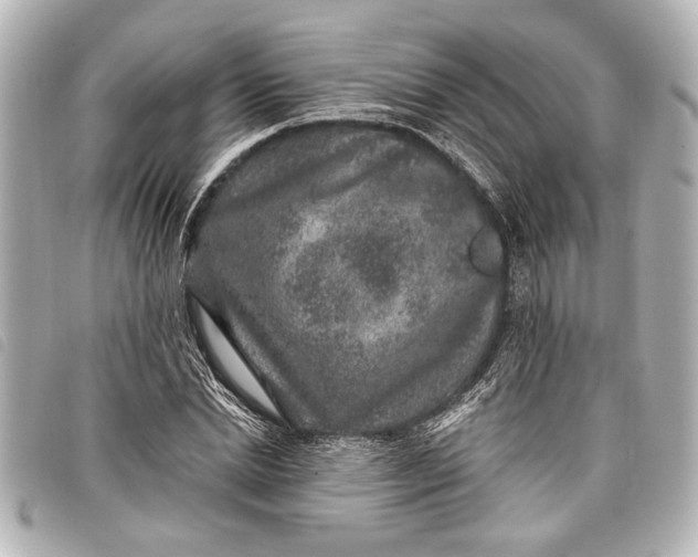 X0000098070830200804181131