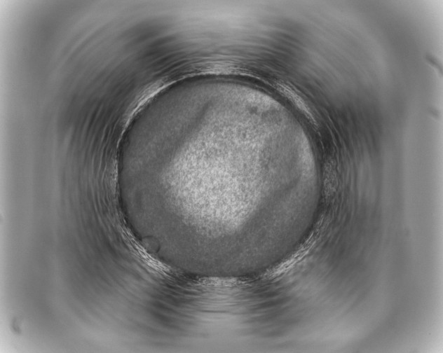 X0000098070831200804181131