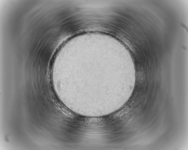 X0000098070832200804181131