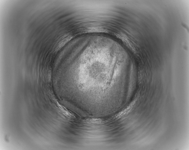 X0000098070833200804181131