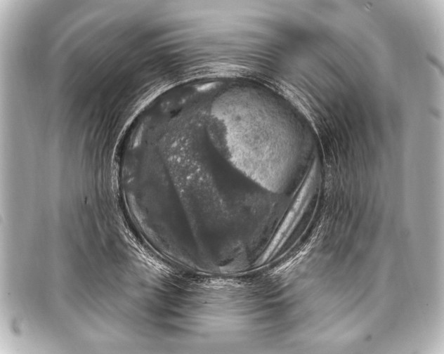 X0000098070835200804181131