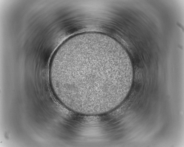 X0000098070836200804181131