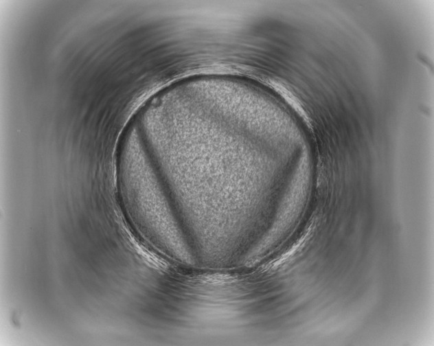 X0000098070837200804181131