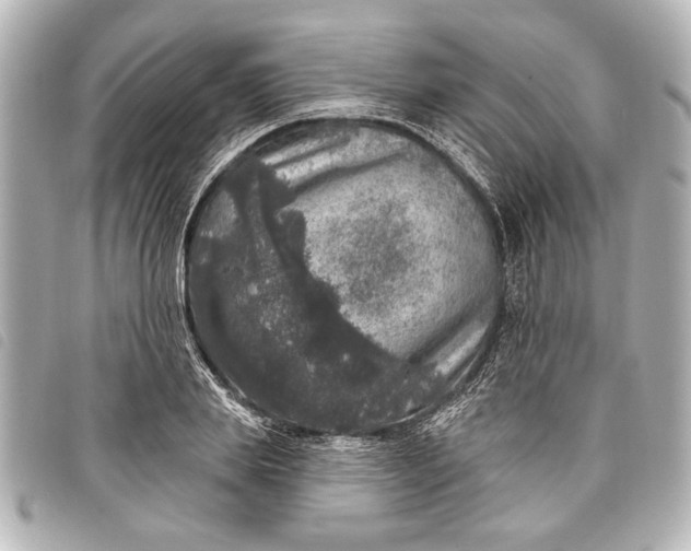 X0000098070839200804181131