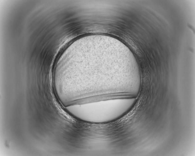 X0000098070840200804181131