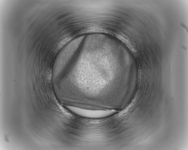 X0000098070841200804181131