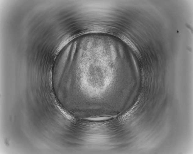 X0000098070842200804181131