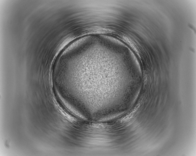 X0000098070843200804181131