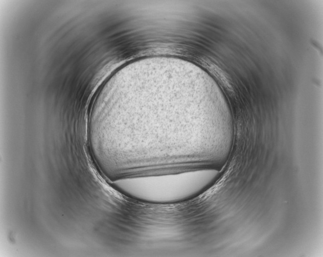 X0000098070844200804181131