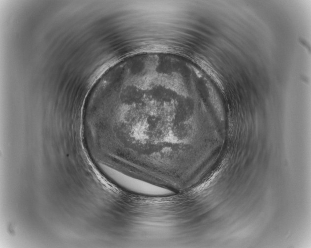 X0000098070845200804181131