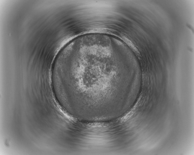 X0000098070846200804181131