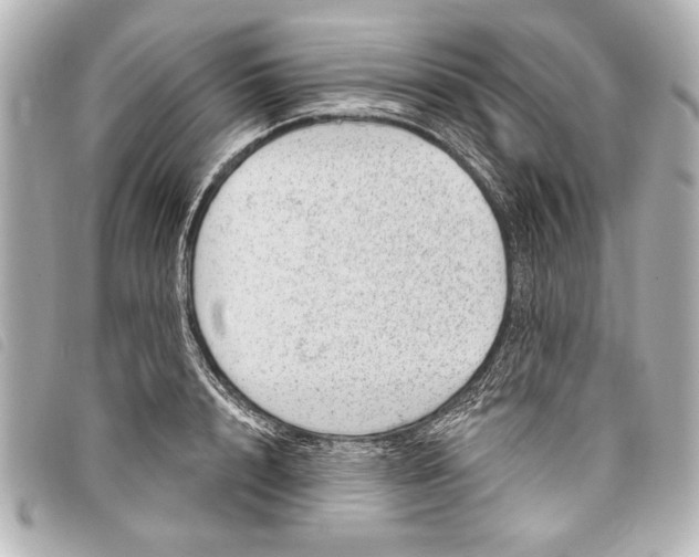 X0000098070848200804181131