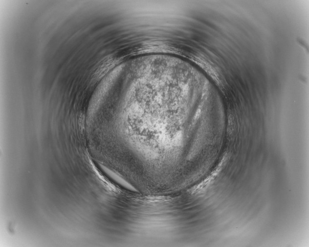 X0000098070849200804181131