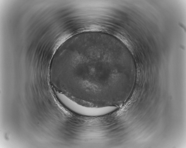 X0000098070850200804181131