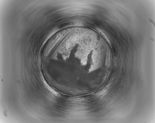 X0000098070851200804181131