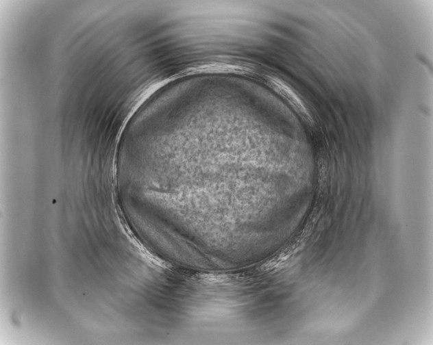 X0000098070852200804181131