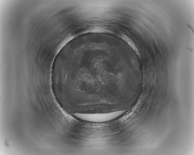 X0000098070853200804181131