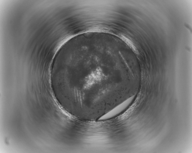 X0000098070854200804181131