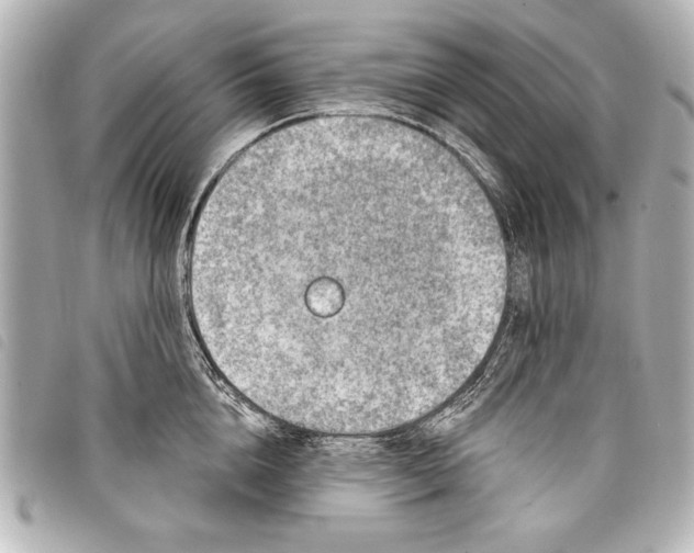 X0000098070856200804181131