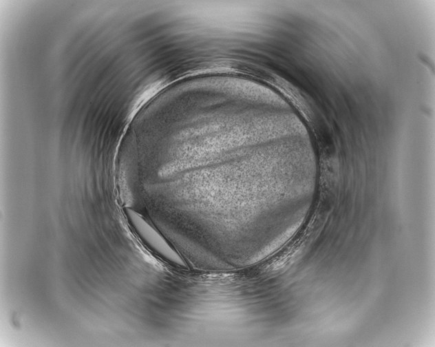 X0000098070858200804181131