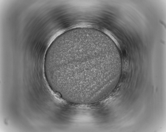 X0000098070861200804181131