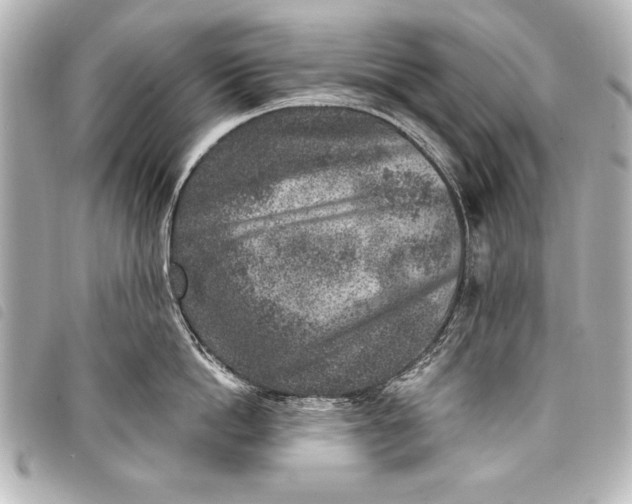 X0000098070862200804181131